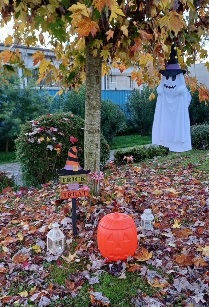 HALLOWEEN 2024